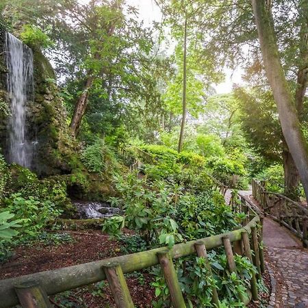 Calme Appart Renove Jardin Des Plantes Busca Toulouse Bagian luar foto